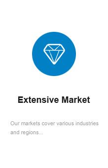 BG大游·(集团)视讯官方网站